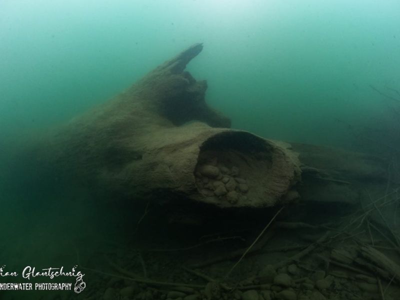 antauchen seeteufel hp18 antauchen seeteufel hp18