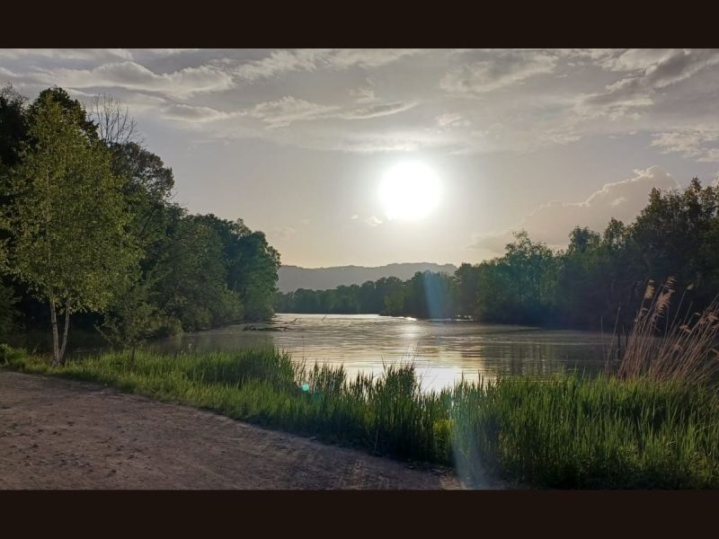 antauchen seeteufel hp25 antauchen seeteufel hp25