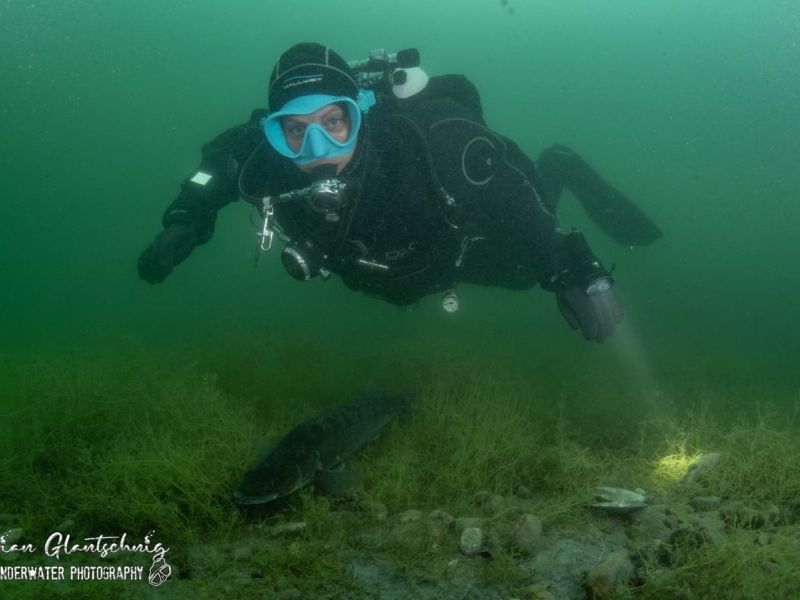 antauchen seeteufel hp28 antauchen seeteufel hp28