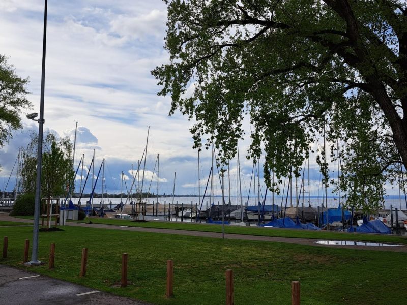 antauchen202410 antauchen202410